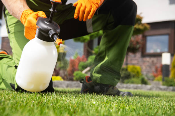 Best Affordable Pest Control Services  in Sughter, LA