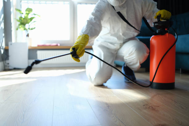Best Wasp Removal Services  in Sughter, LA