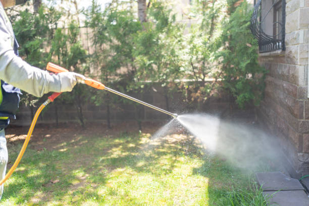 Best Commercial Pest Control Services  in Sughter, LA
