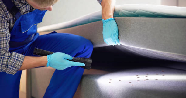 Best Emergency Pest Control  in Sughter, LA