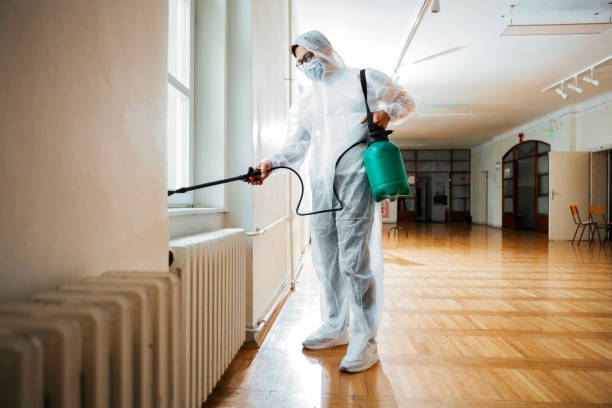 Best Insect Control  in Sughter, LA