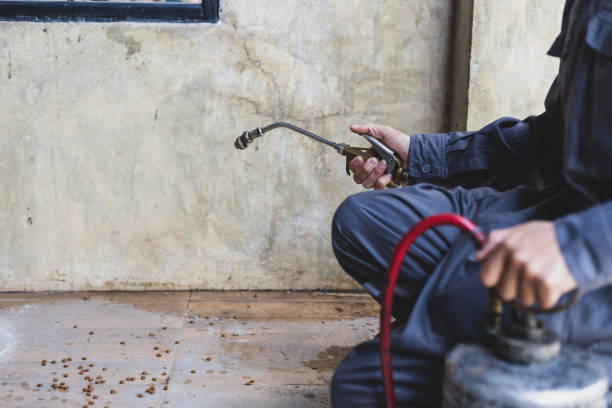 Best Pest Control for Homes  in Sughter, LA